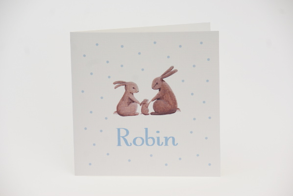 geboortekaartje robin lichtblauw